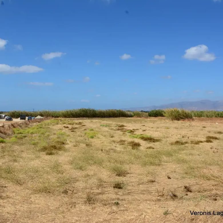 Μικρή Βίγλα / Αγροτεμάχιο 8.000 m2