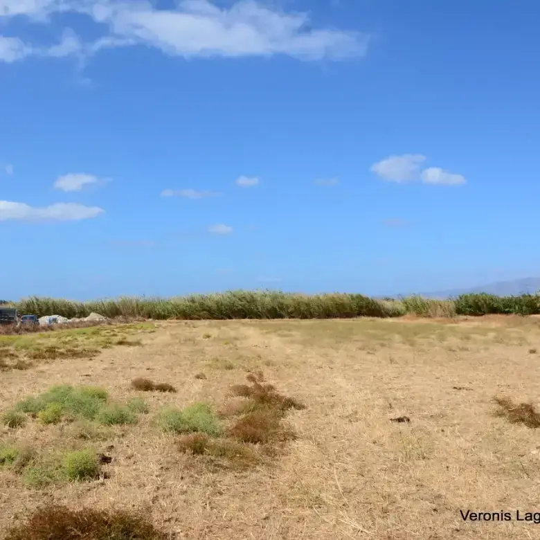 Μικρή Βίγλα / Αγροτεμάχιο 8.000 m2