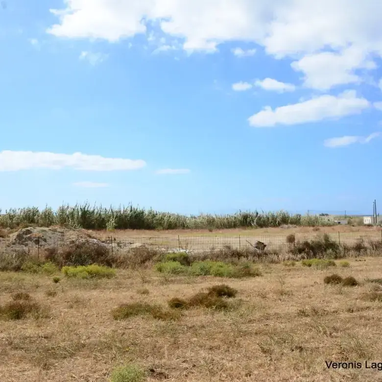 Μικρή Βίγλα / Αγροτεμάχιο 8.000 m2