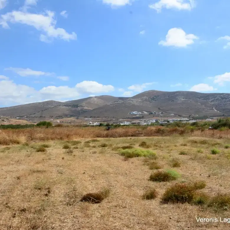 Μικρή Βίγλα / Αγροτεμάχιο 8.000 m2