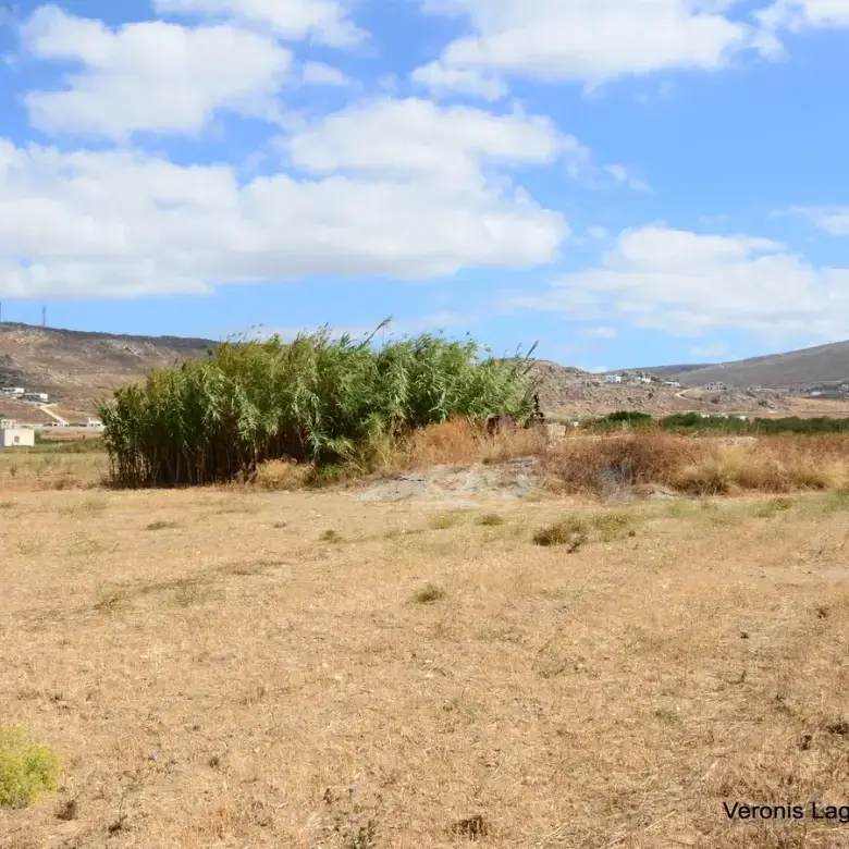 Μικρή Βίγλα / Αγροτεμάχιο 8.000 m2