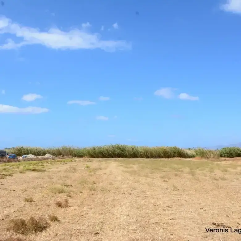 Μικρή Βίγλα / Αγροτεμάχιο 8.000 m2