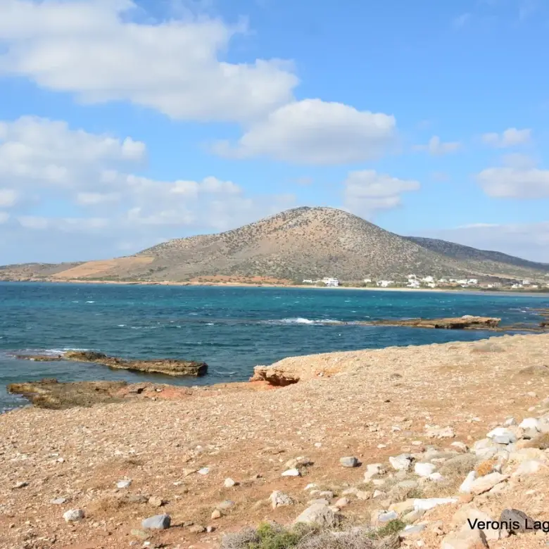 Agiassos / Αgricultural land of 4.017 m2.