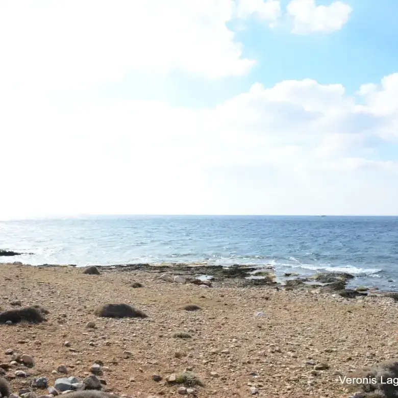 Agiassos / Αgricultural land of 4.017 m2.