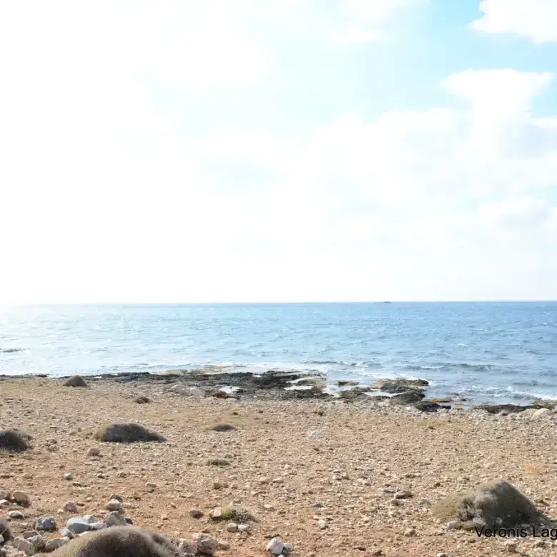 Agiassos / Αgricultural land of 4.017 m2.
