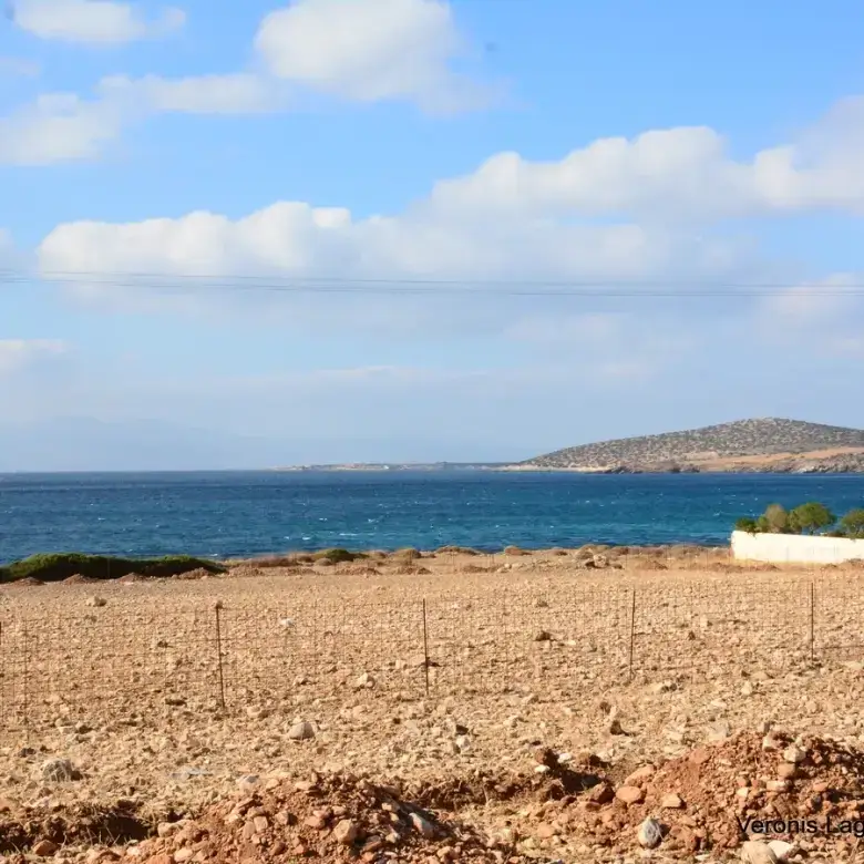 Agiassos / Αgricultural land of 4.017 m2.
