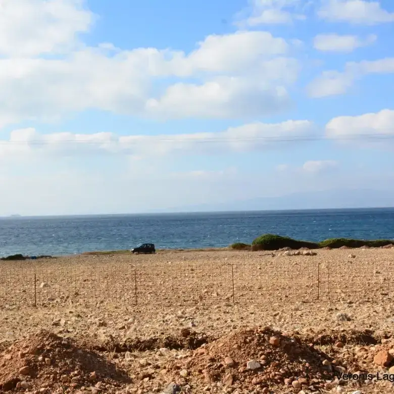 Agiassos / Αgricultural land of 4.017 m2.