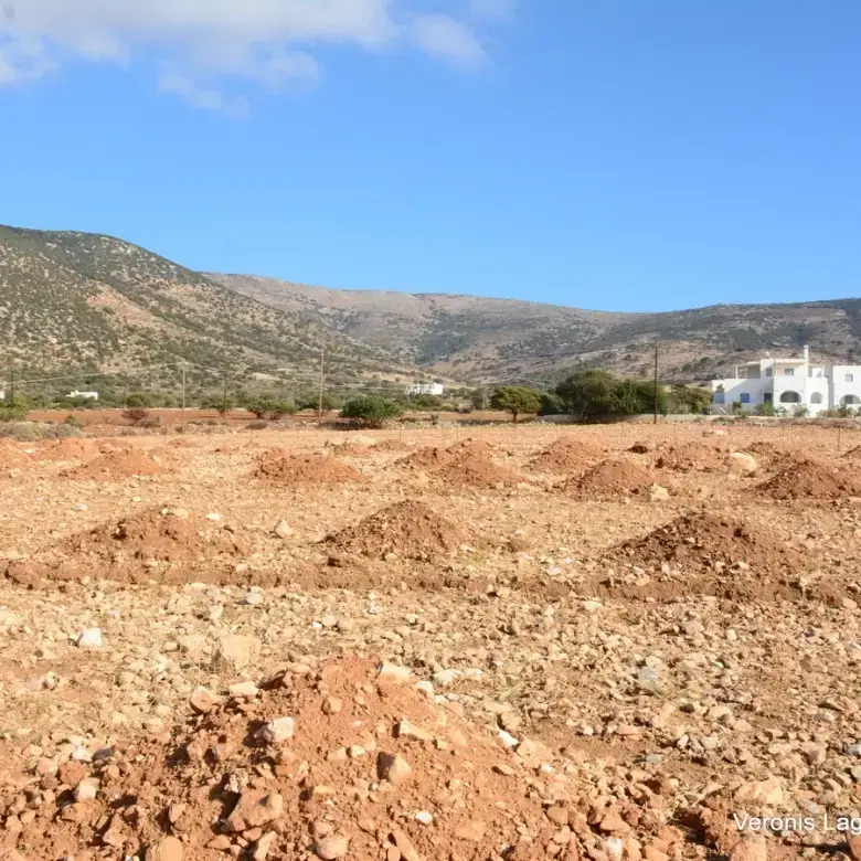 Agiassos / Αgricultural land of 4.017 m2.