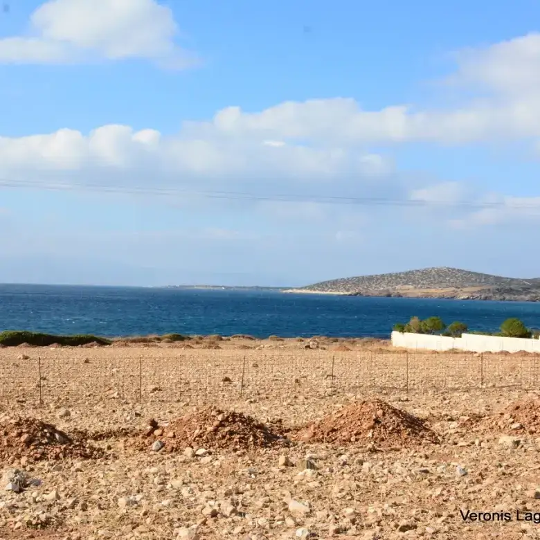 Agiassos / Αgricultural land of 4.017 m2.