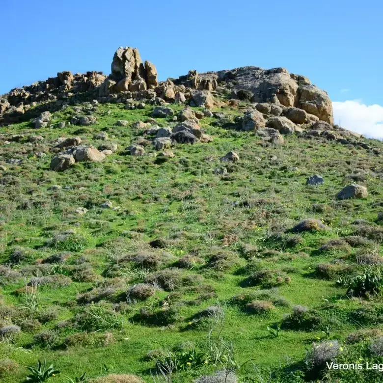 Galini / Plot of 12.460 m2