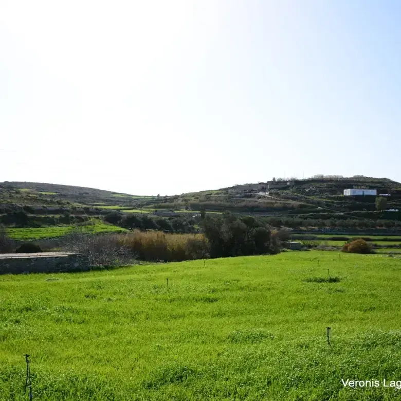Vivlos / Agricultural land of 4.103 m2