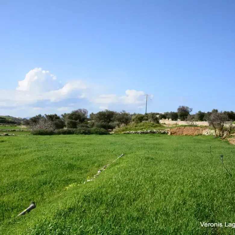 Vivlos / Agricultural land of 4.103 m2