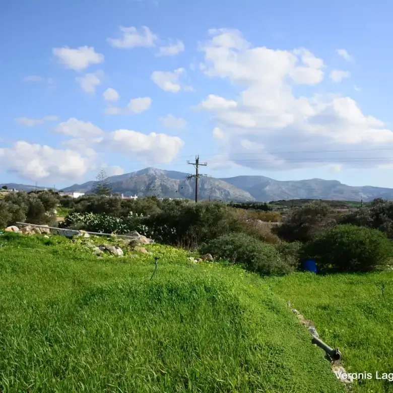Vivlos / Agricultural land of 4.103 m2