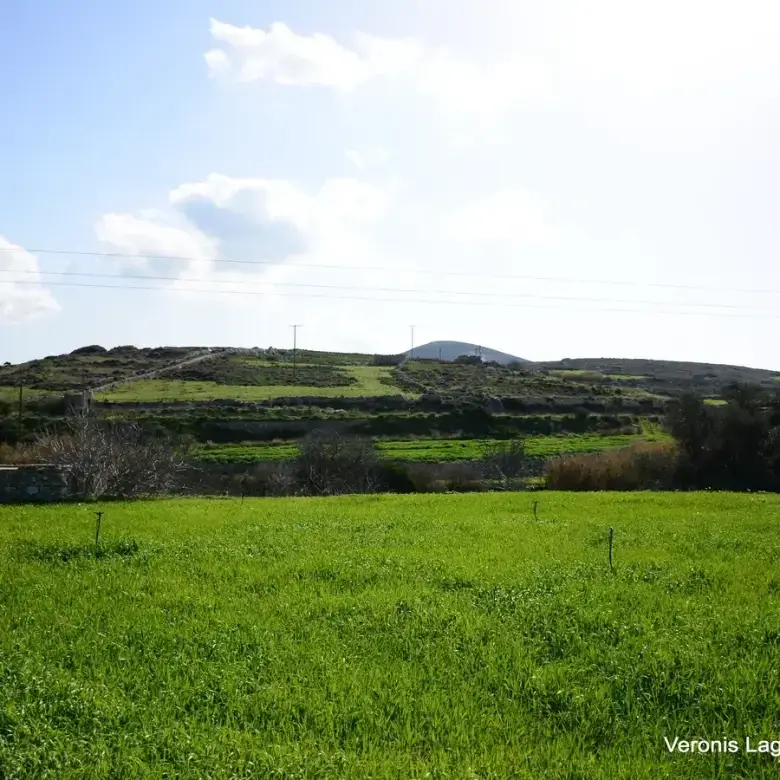 Vivlos / Agricultural land of 4.103 m2