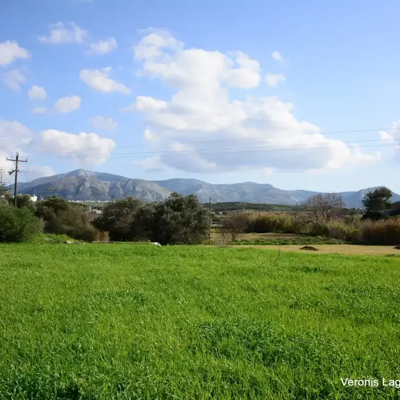 Vivlos / Agricultural land of 4.103 m2