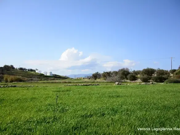 Vivlos / Agricultural land of 4.103 m2