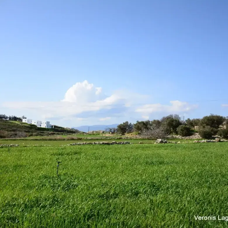 Vivlos / Agricultural land of 4.103 m2