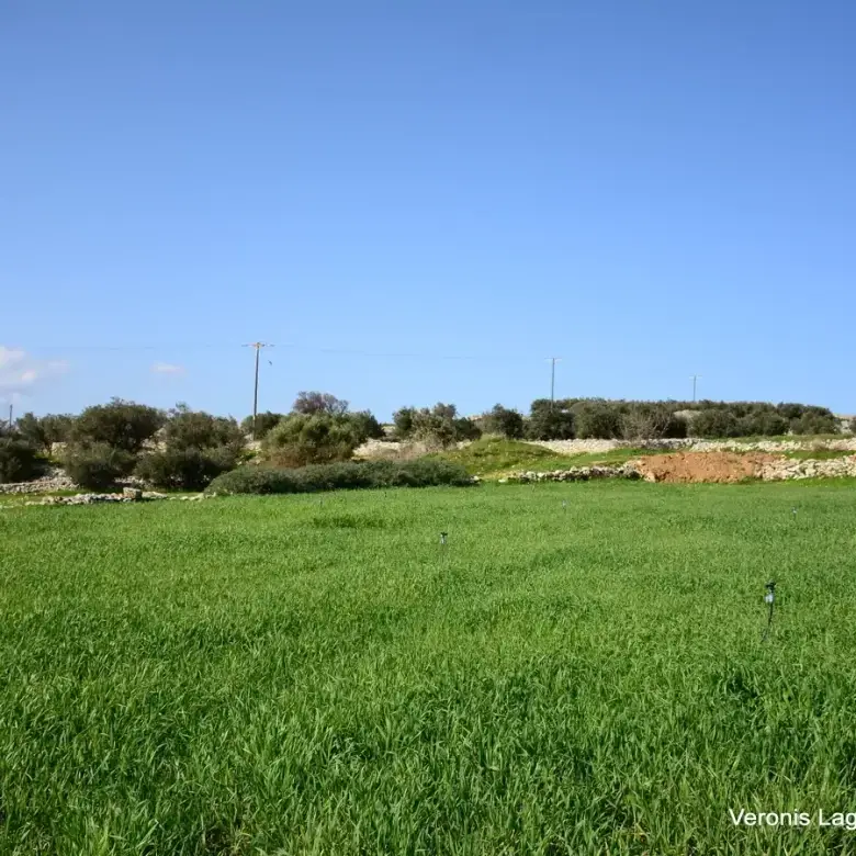 Vivlos / Agricultural land of 4.103 m2