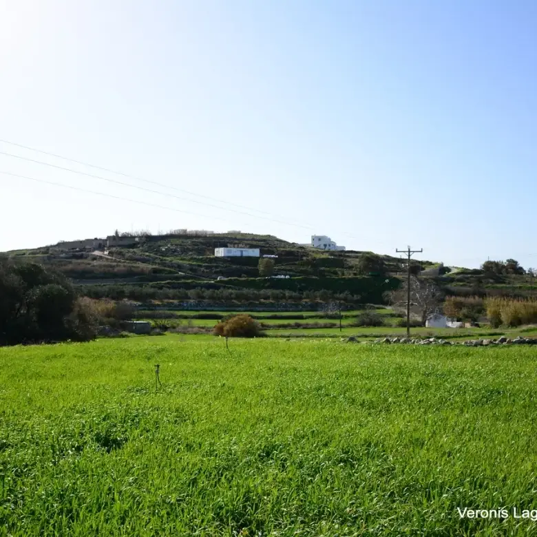 Vivlos / Agricultural land of 4.103 m2