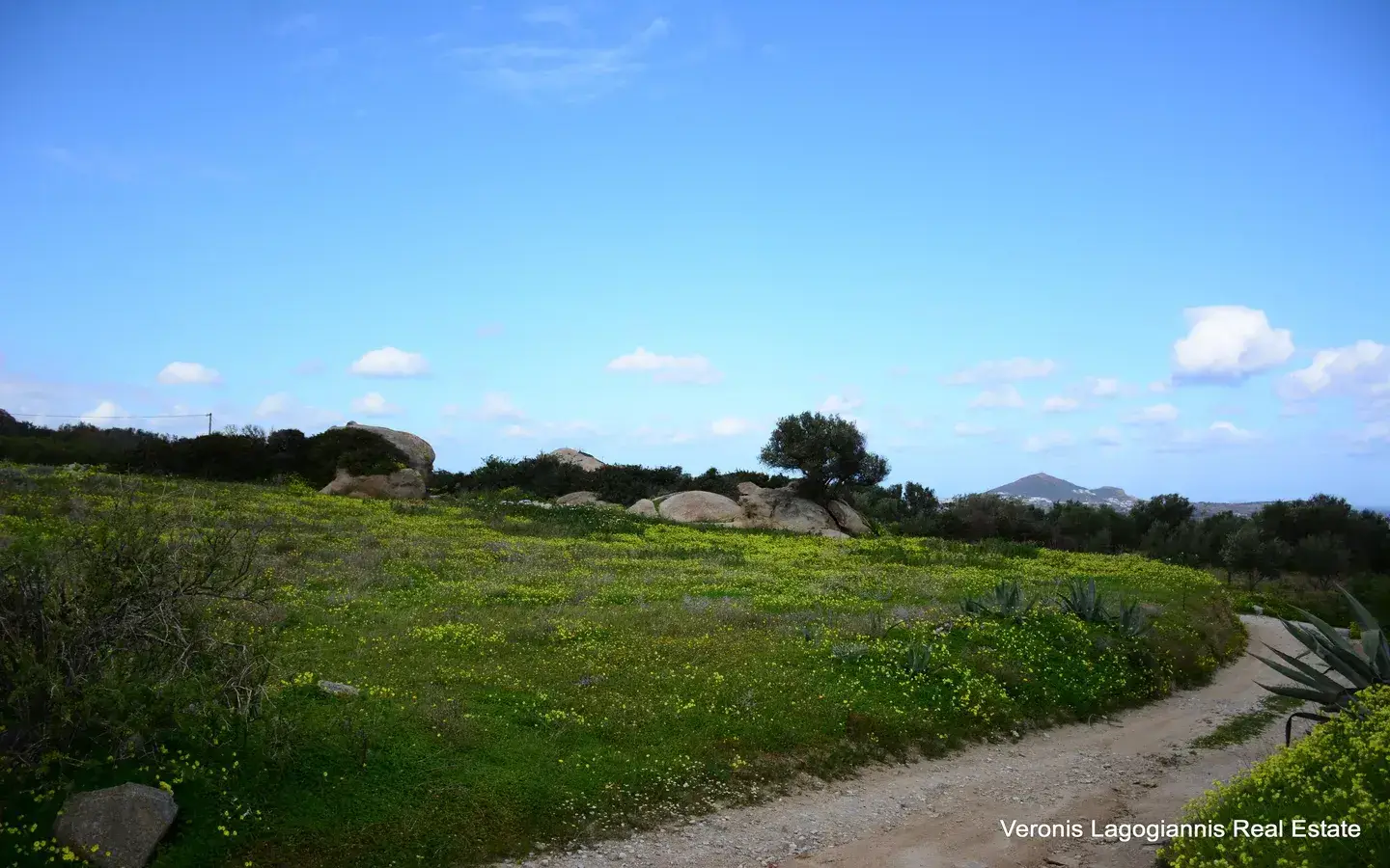 DSC_6081 Agios Arsenios / Αgricultural land of 6.431 m2