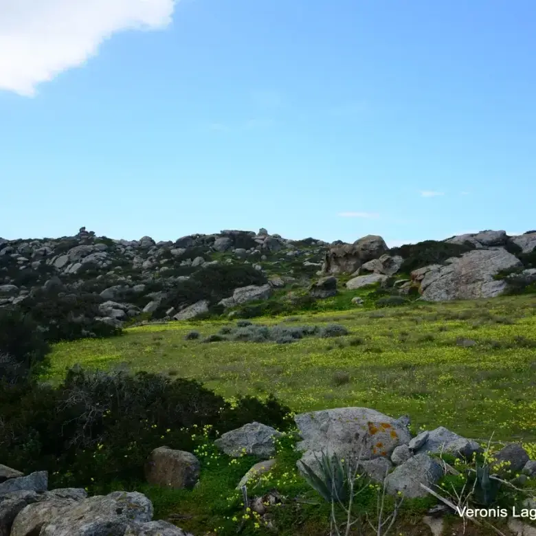 Agios Arsenios / Αgricultural land of 6.431 m2
