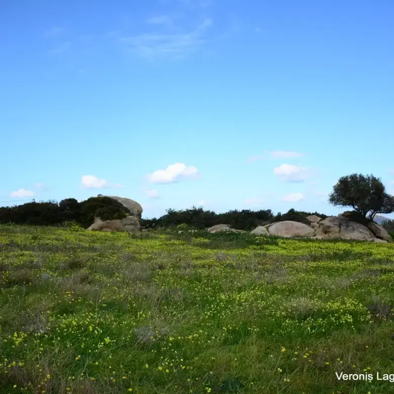 Agios Arsenios / Αgricultural land of 6.431 m2