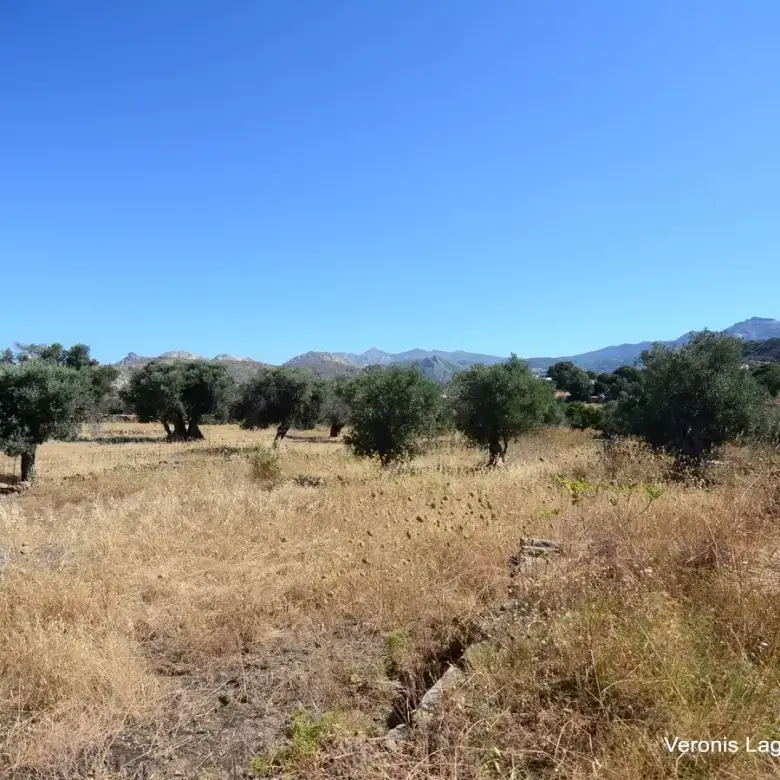 Damariona / Agricultural land of 2.508 m2