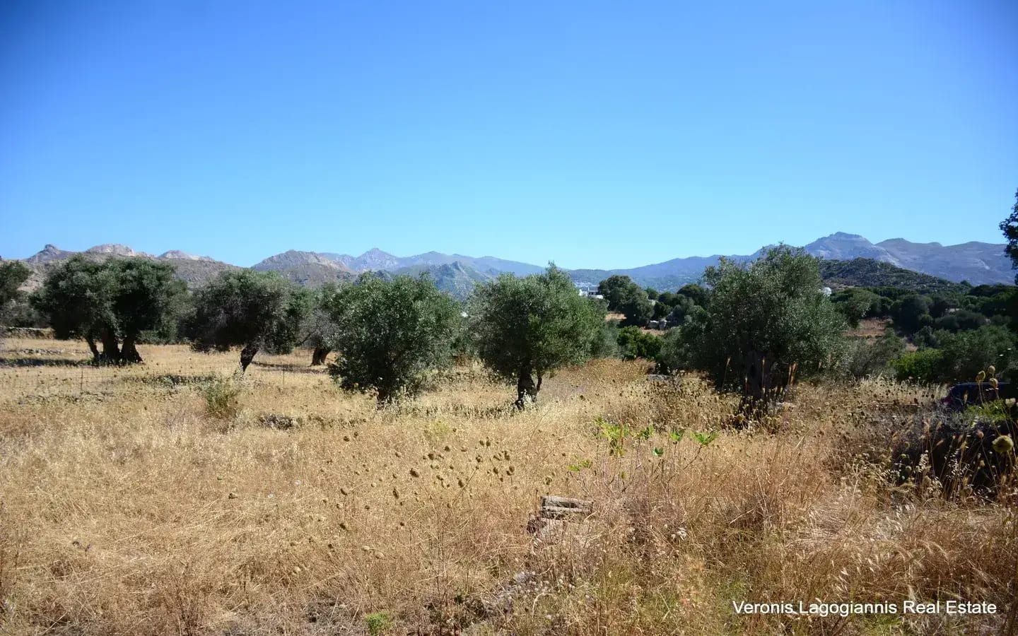 Damariona / Agricultural land of 2.508 m2