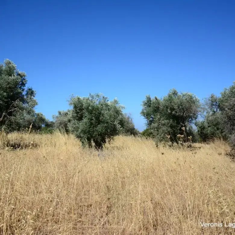 Damariona / Agricultural land of 2.508 m2