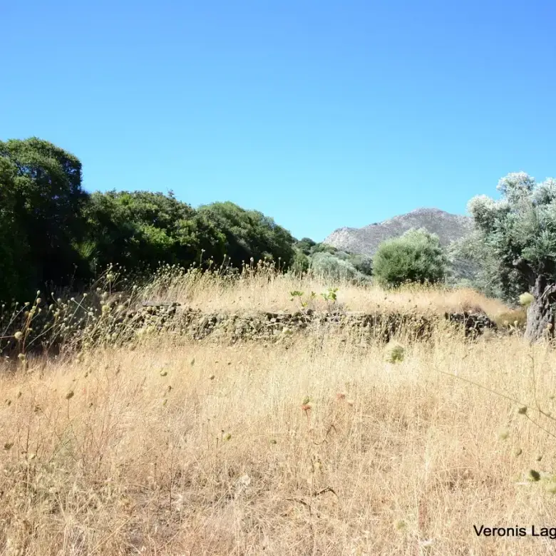 Damariona / Agricultural land of 2.508 m2