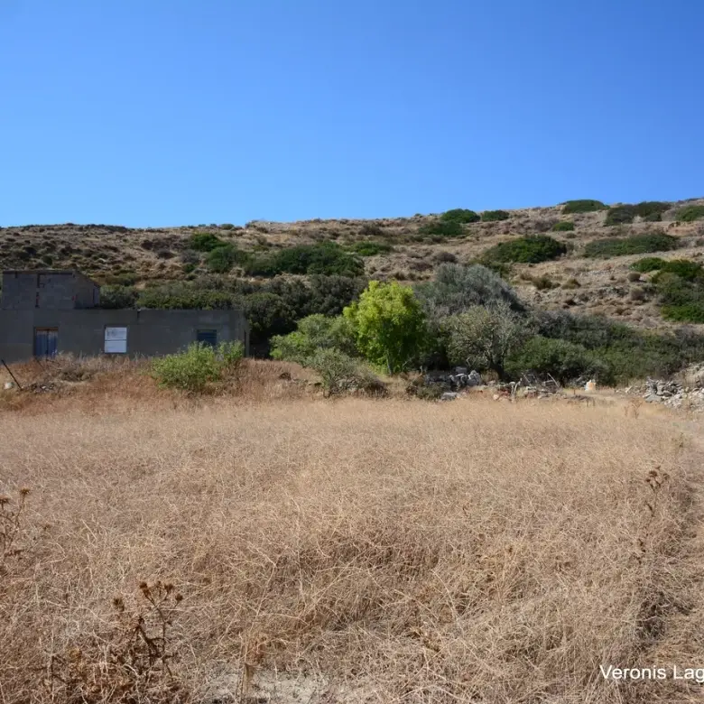 Galini / Amphitheater agricultural land of 10.802 m2