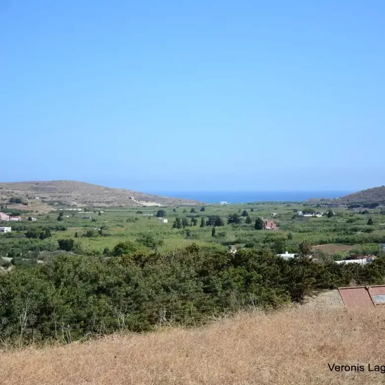 Galini / Amphitheater agricultural land of 10.802 m2