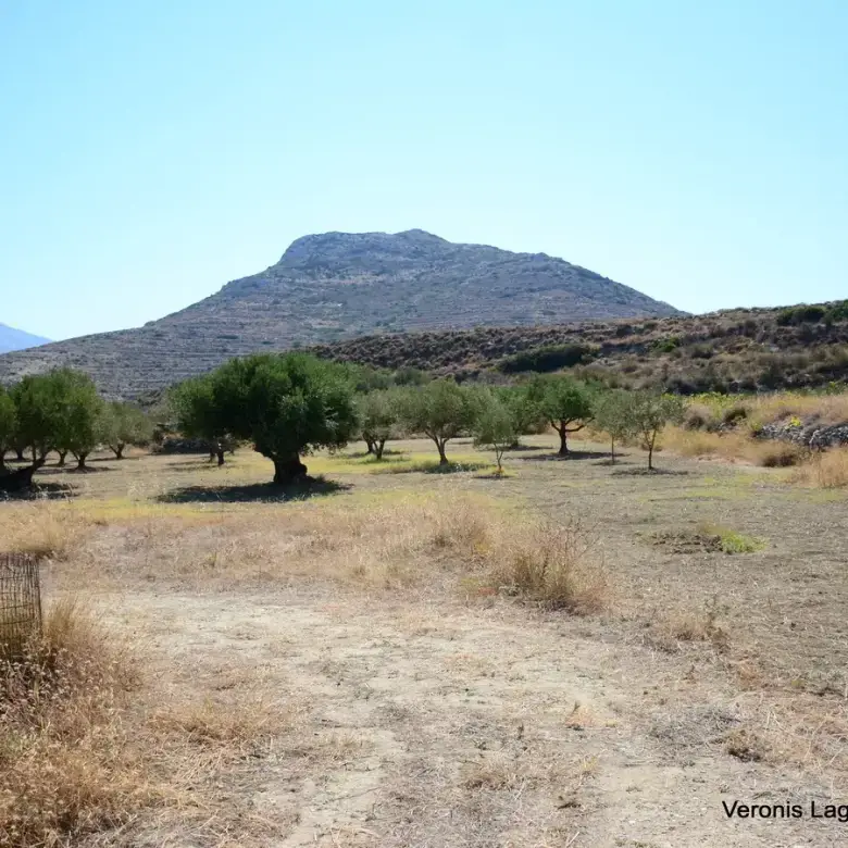 Galini / Amphitheater agricultural land of 10.802 m2