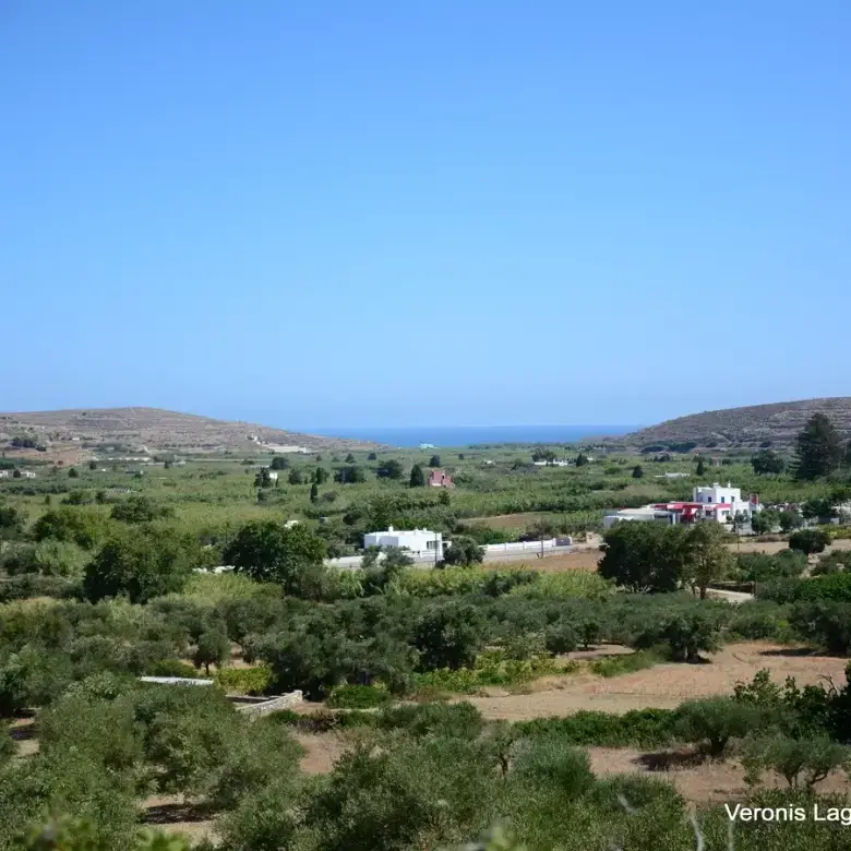 Galini / Amphitheater agricultural land of 10.802 m2