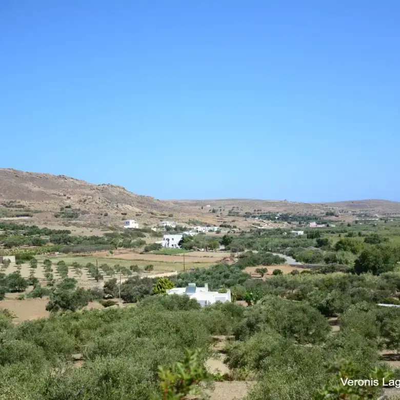 Galini / Amphitheater agricultural land of 10.802 m2