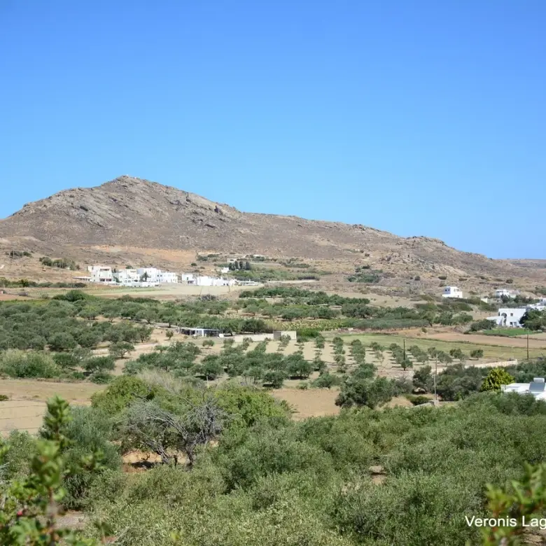 Galini / Amphitheater agricultural land of 10.802 m2