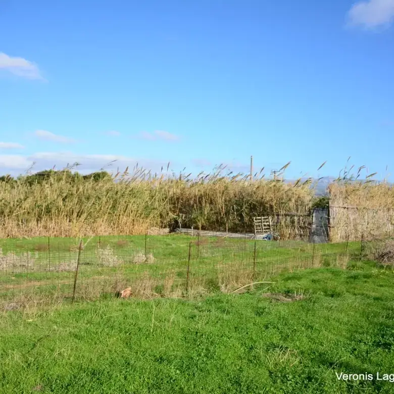 Agios Prokopios / Plot of 274 m2