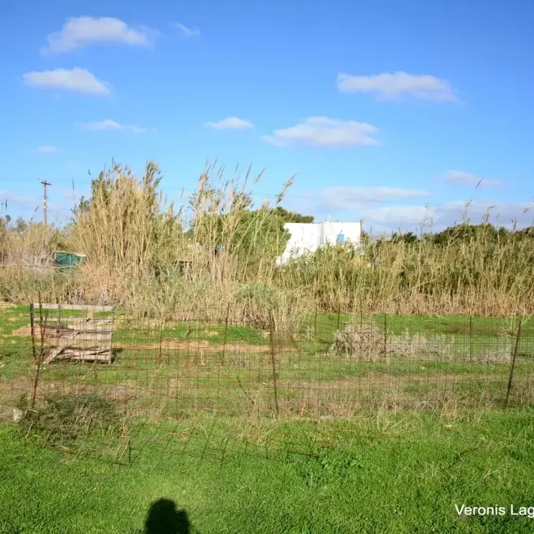 Agios Prokopios / Plot of 274 m2