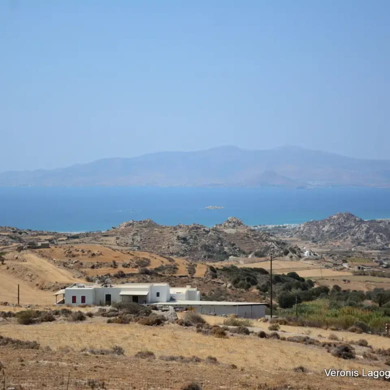Βίβλος Νάξος / αγροτεμάχιο 6.818.50 m2 / 640606