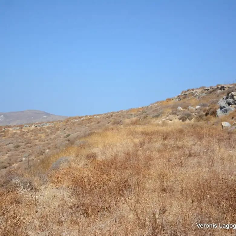 Βίβλος Νάξου / 2 όμορα γεωτεμάχια συνολικής έκτασης 15.475,21 m2 / 640595