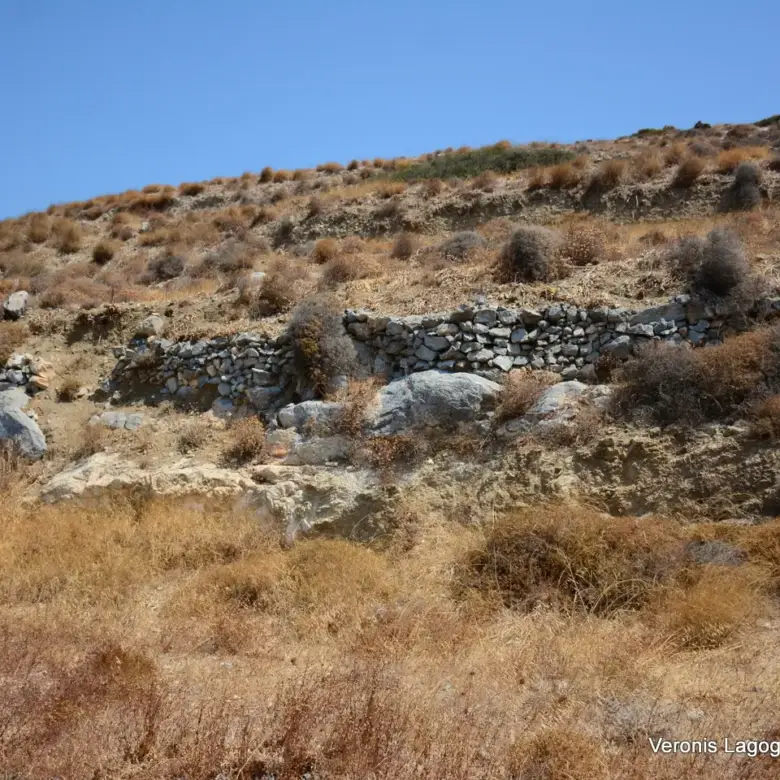 Βίβλος Νάξος / αγροτεμάχιο 6.818.50 m2 / 640606