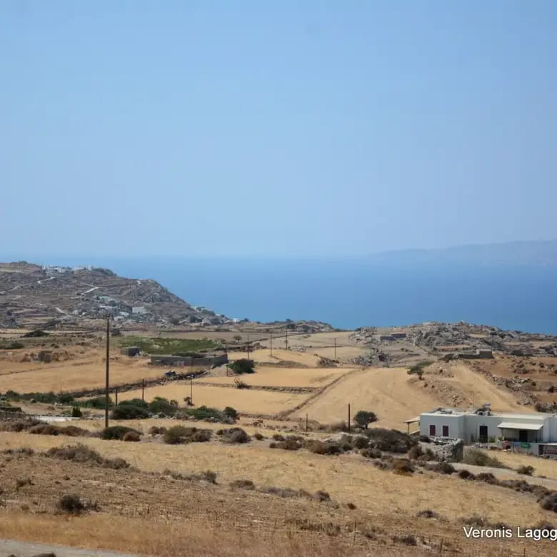 Βίβλος Νάξου / 2 όμορα γεωτεμάχια συνολικής έκτασης 15.475,21 m2 / 640595
