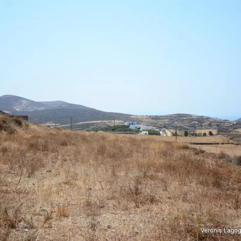 Βίβλος Νάξου / 2 όμορα γεωτεμάχια συνολικής έκτασης 15.475,21 m2 / 640595