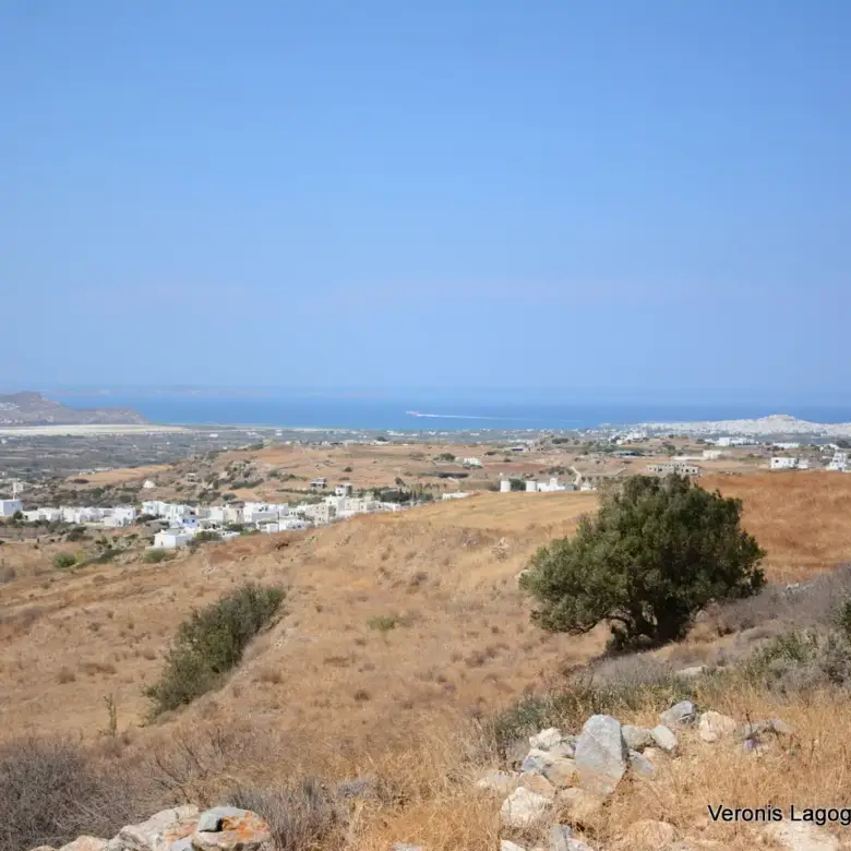 Βίβλος Νάξος / αγροτεμάχιο 6.818.50 m2 / 640606