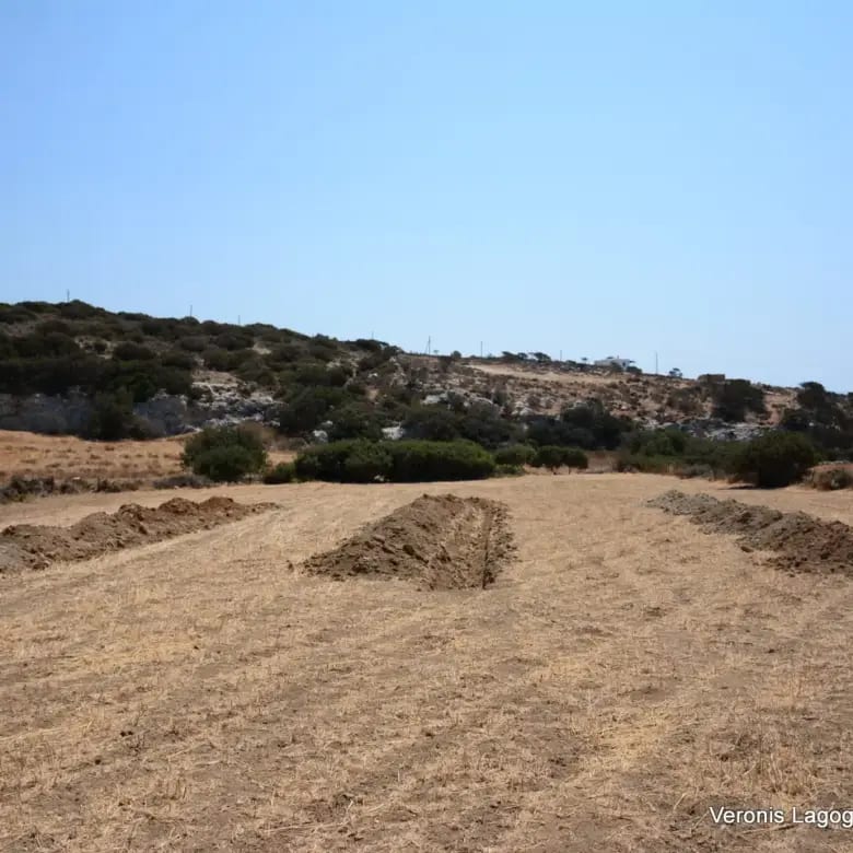 Καστράκι Νάξος / Αγροτεμάχιο 2.890 m2 / 640594