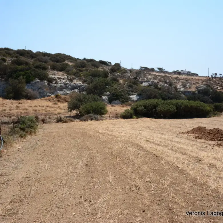 Καστράκι Νάξος / Αγροτεμάχιο 2.890 m2 / 640594