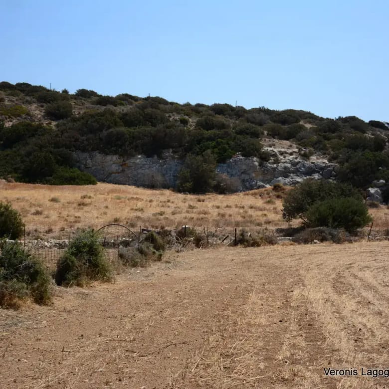 Καστράκι Νάξος / Αγροτεμάχιο 2.890 m2 / 640594