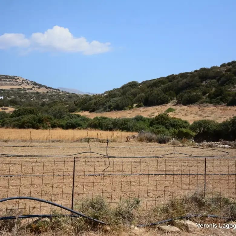 Καστράκι Νάξος / Αγροτεμάχιο 2.890 m2 / 640594