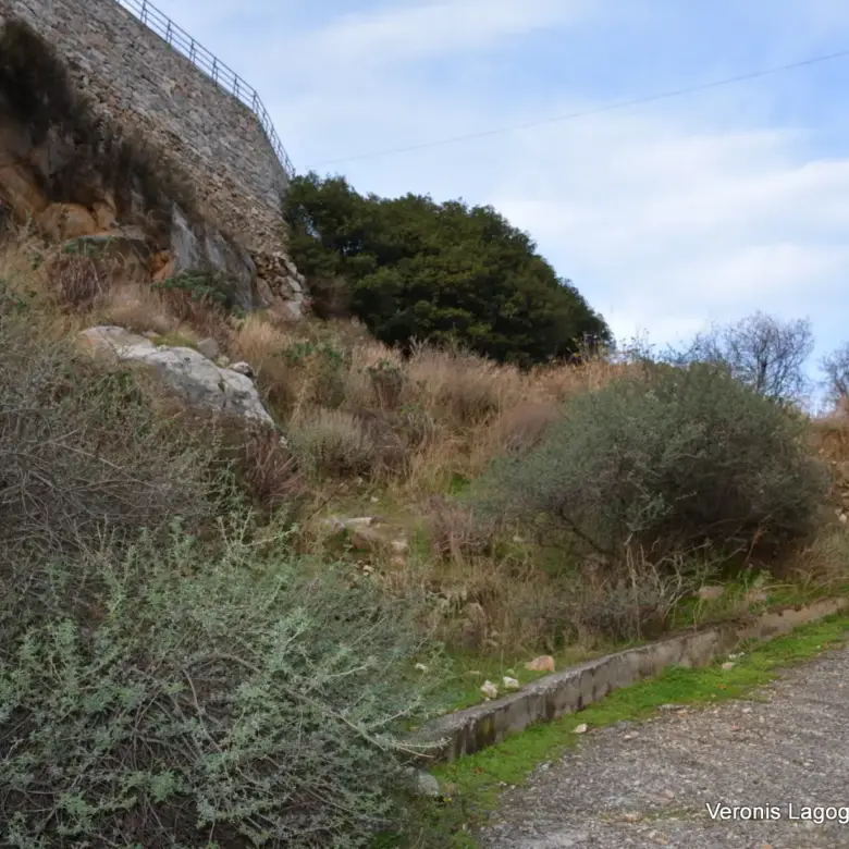 Φιλώτι Νάξος / Οικόπεδο 205 m2 / 640614