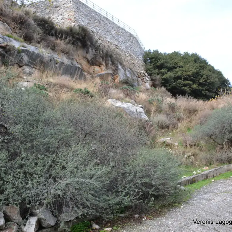 Φιλώτι Νάξος / Οικόπεδο 205 m2 / 640614
